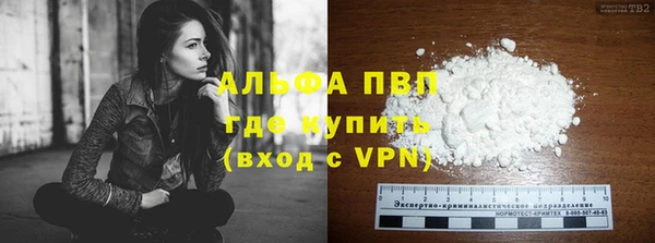 СК Алзамай