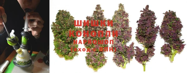 PSILOCYBIN Алексеевка